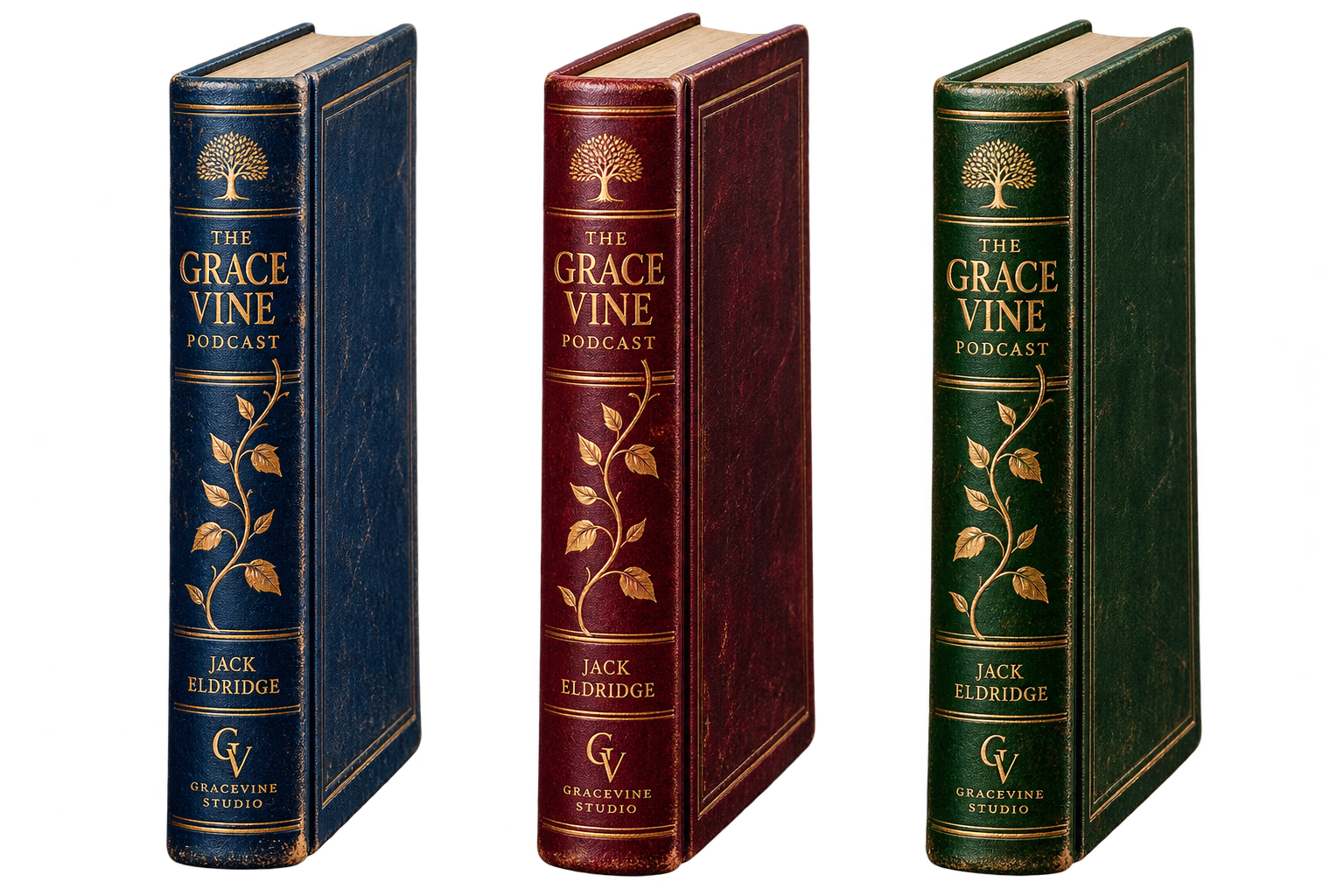 The Grace Vine Podcast books